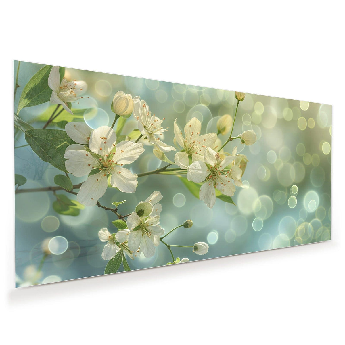 Weiße Blüten und junge Blätter an einem Zweig vor blaugrünem Bokeh