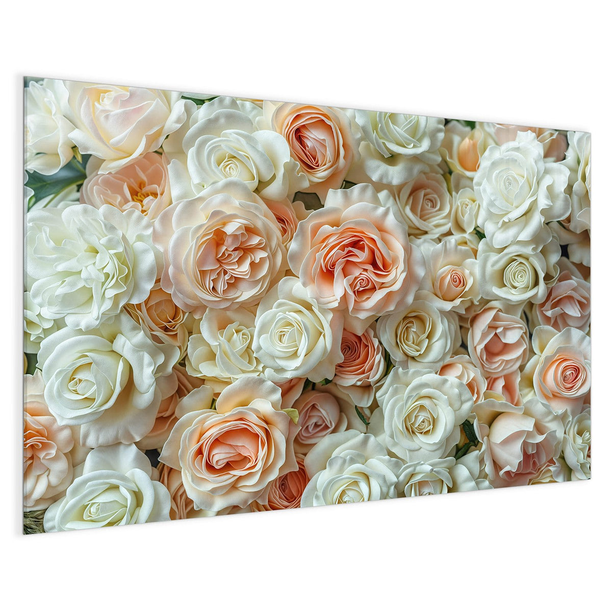 4 mm Glas statt lackiertem Blech – Magnettafel - Cremeweiße Rosen
