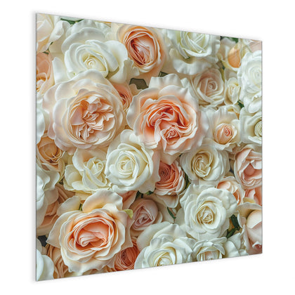 Magnettafel mit dem Motiv Cremeweiße Rosen