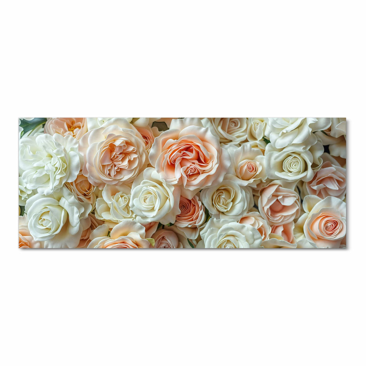 Flächenfüllende Rosenwand in Creme, Weiß und Apricot, Draufsicht ohne Strauß