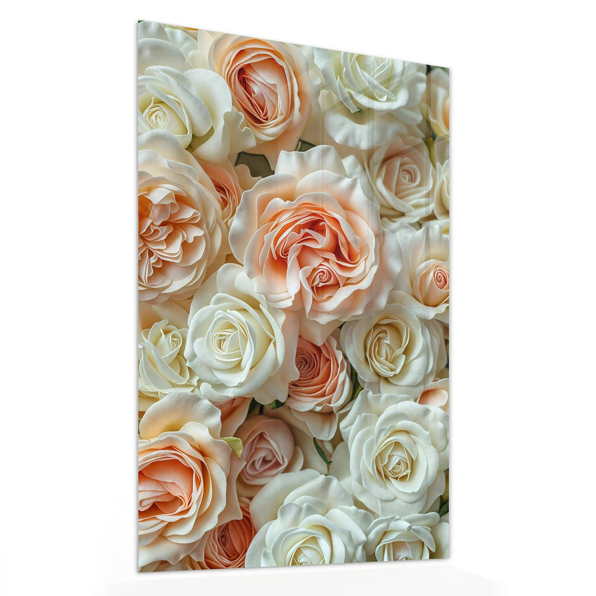 11 Größen – von 30 × 60 bis 60 × 150 cm – Wandbild - Cremeweiße Rosen - Hochformat
