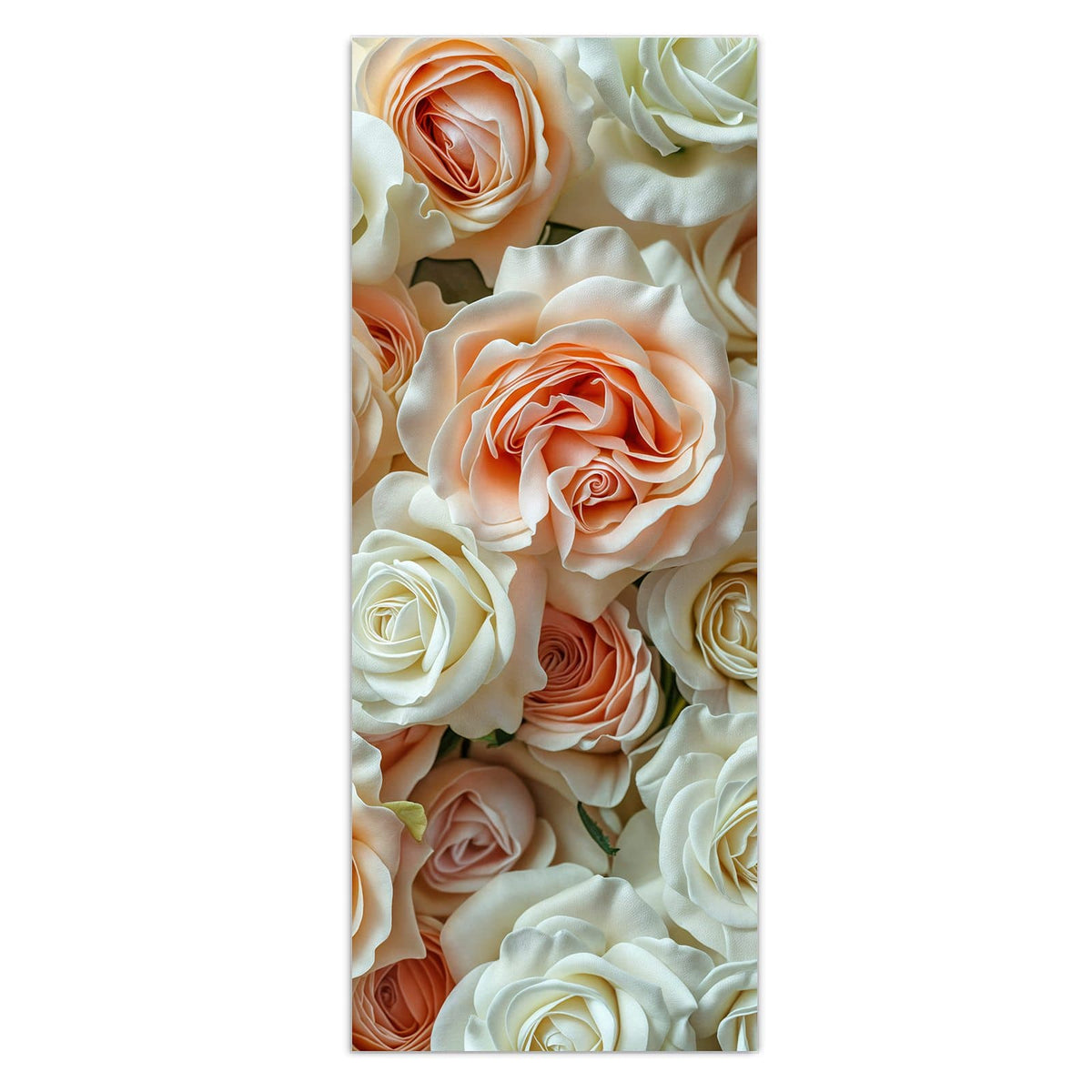 Flächenfüllende Rosenwand in Creme, Weiß und Apricot, Draufsicht ohne Strauß
