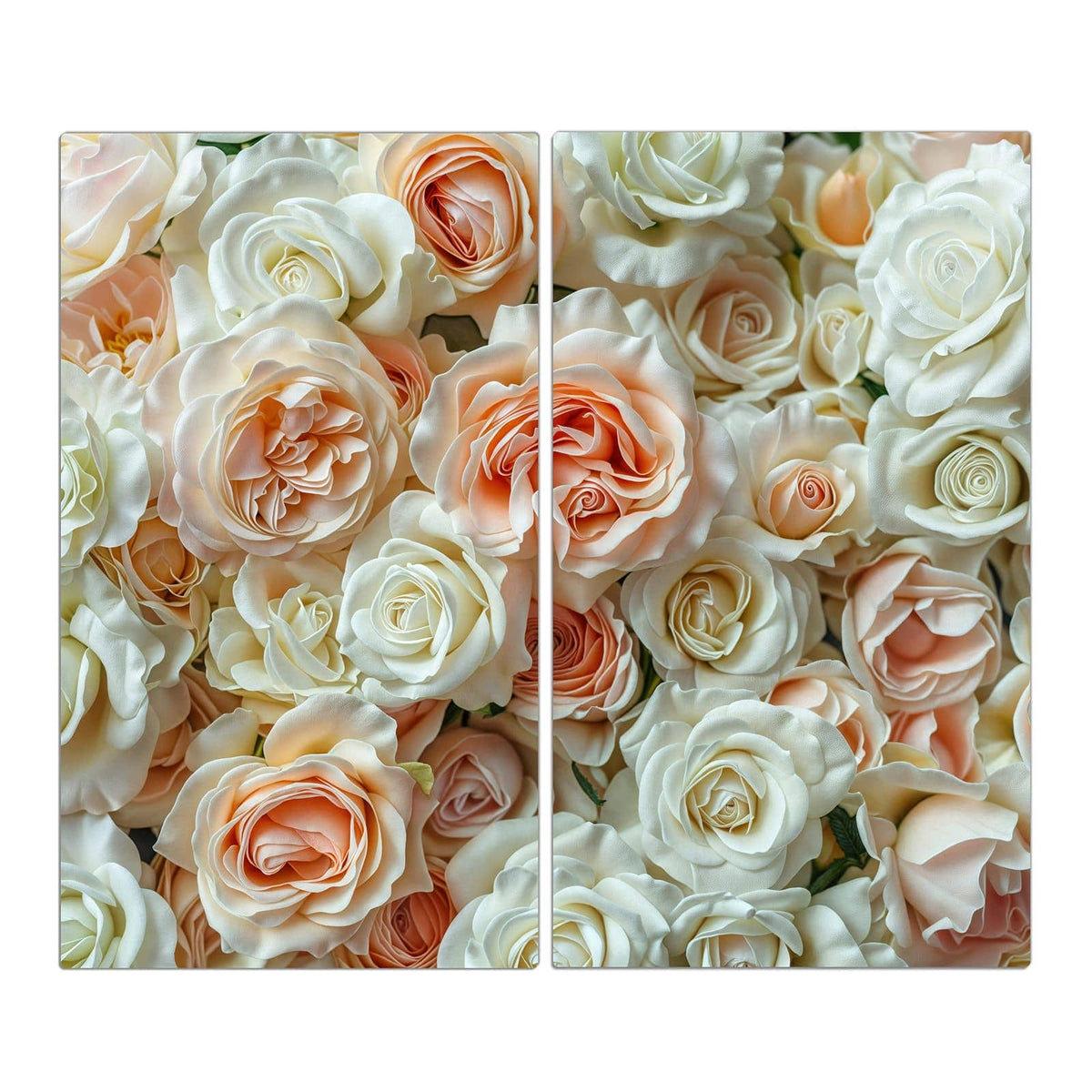 Flächenfüllende Rosenwand in Creme, Weiß und Apricot, Draufsicht ohne Strauß