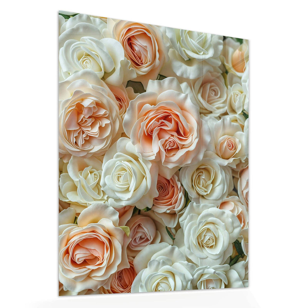 Echtglas, 4 mm – kein Acryl, keine Folie – Wandbild - Cremeweiße Rosen - Hochformat