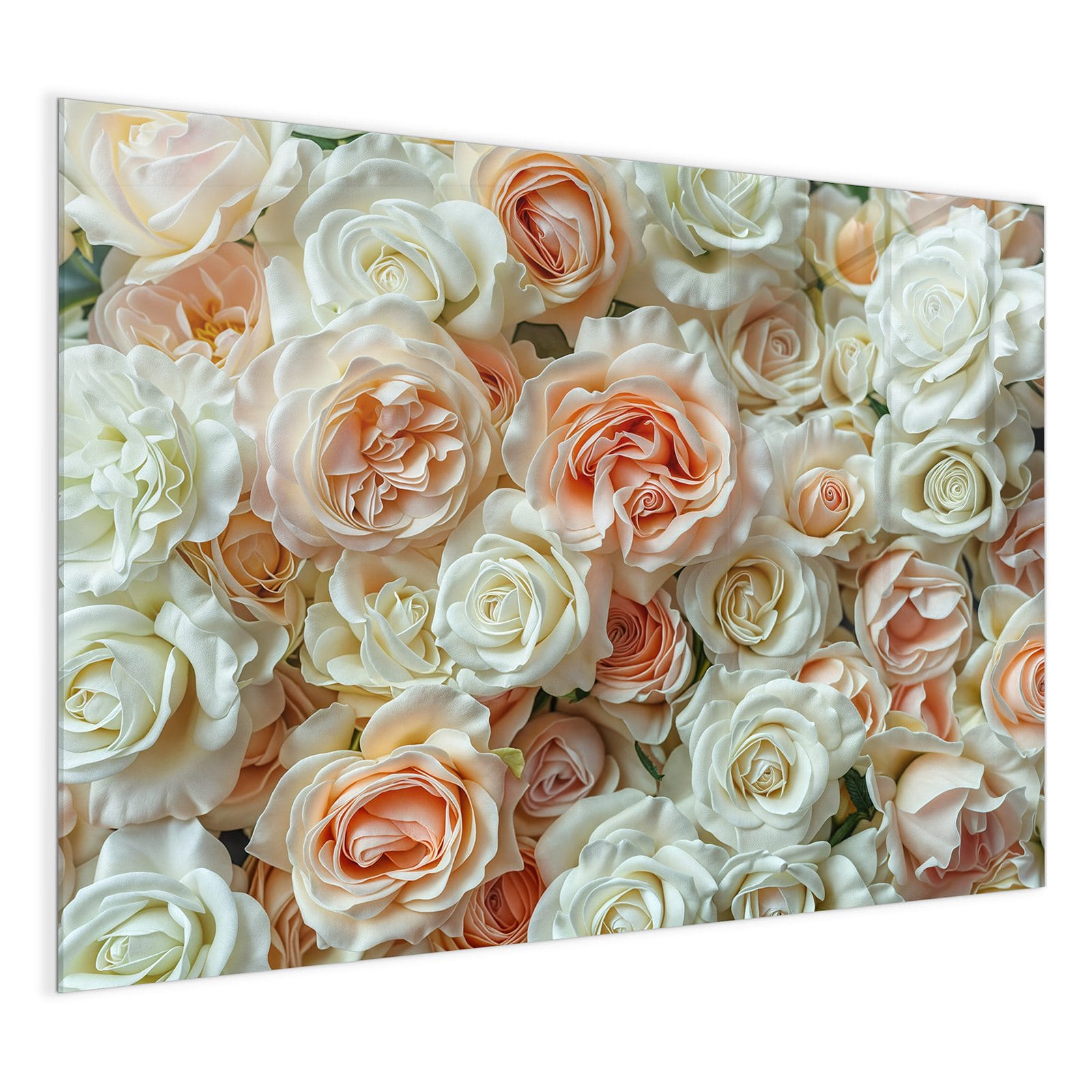 #grösse_120 x 90 cm