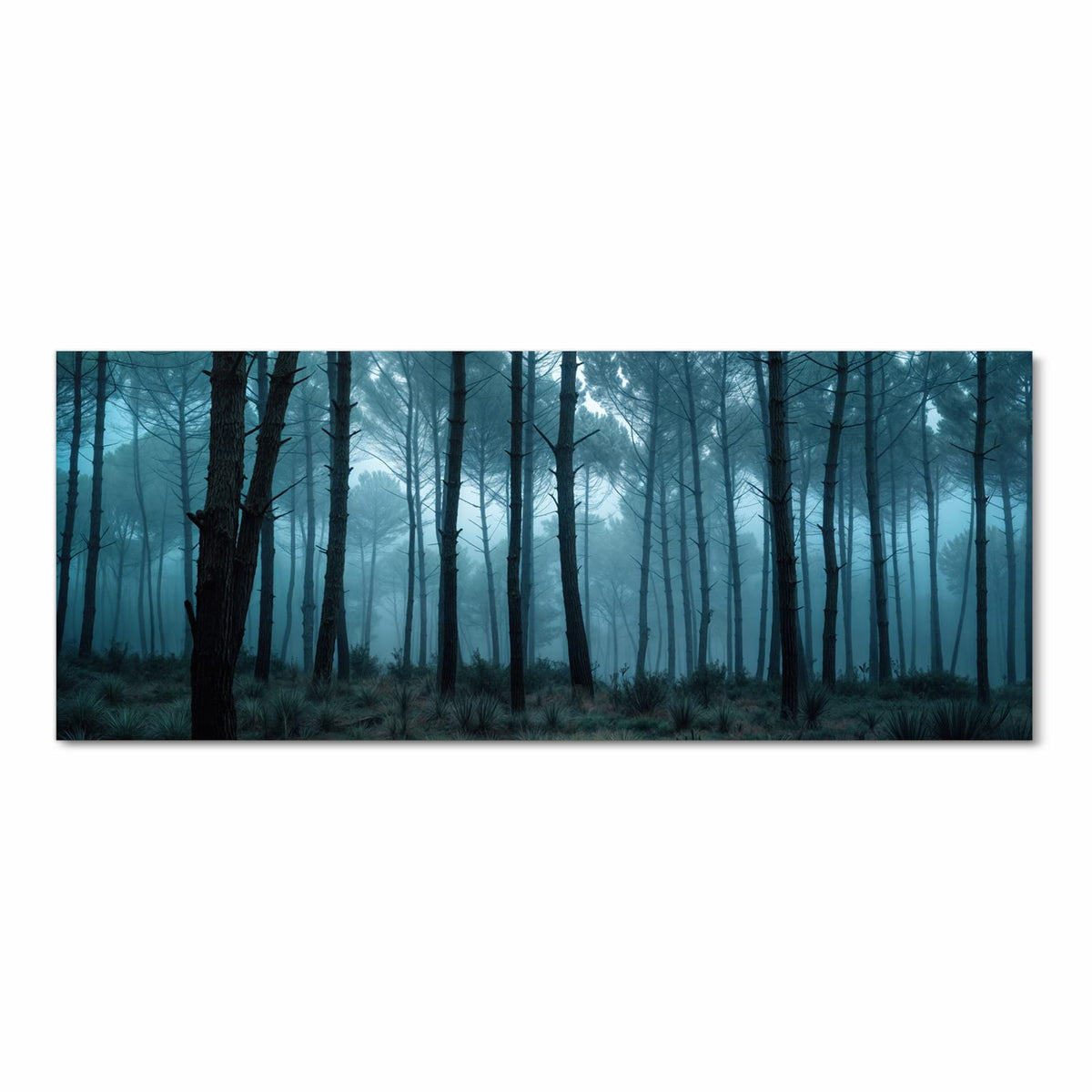 Farbbeständiger Teppich für die Küche mit Motiv Nebeliger Wald in Frontansicht