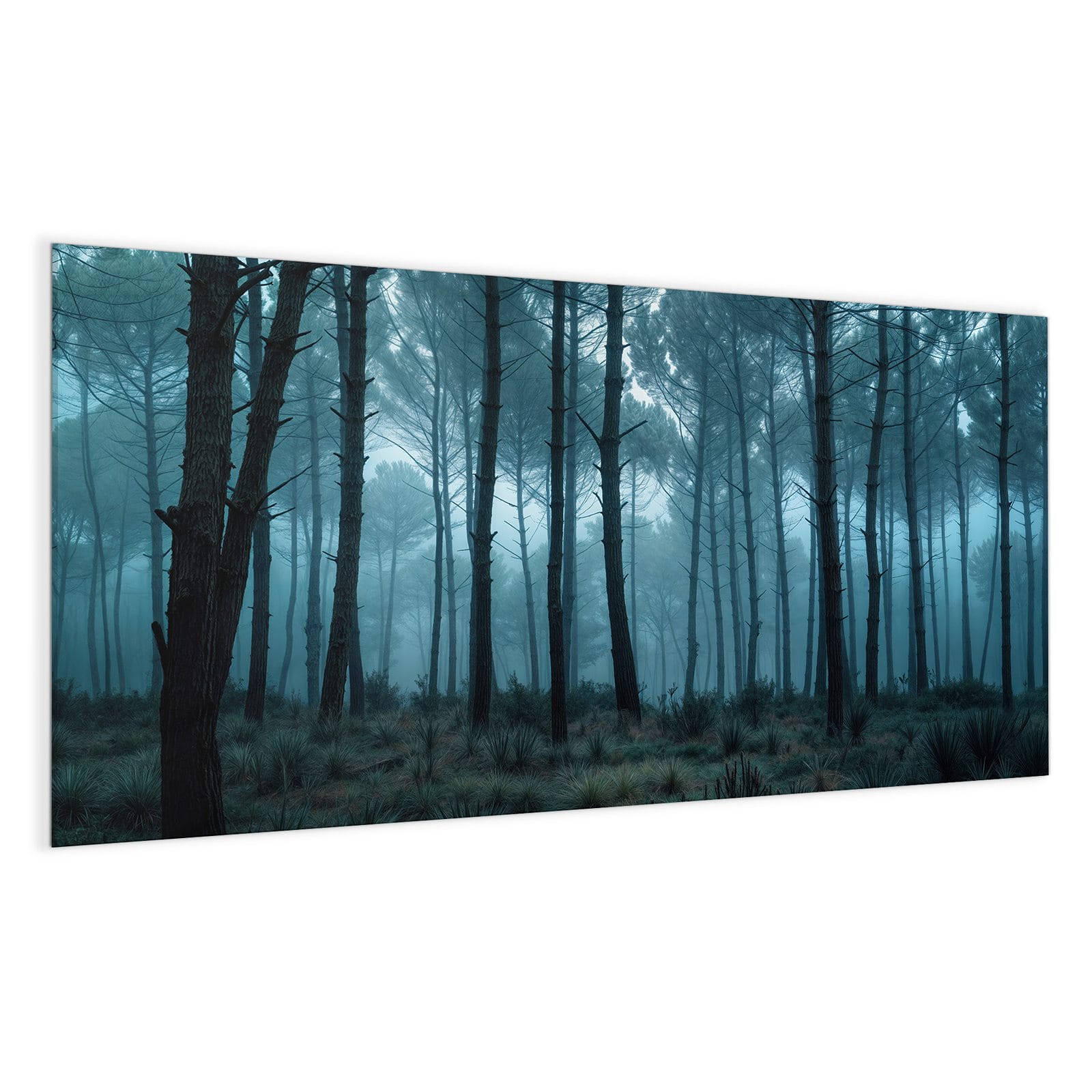 #grösse_100 x 50 cm