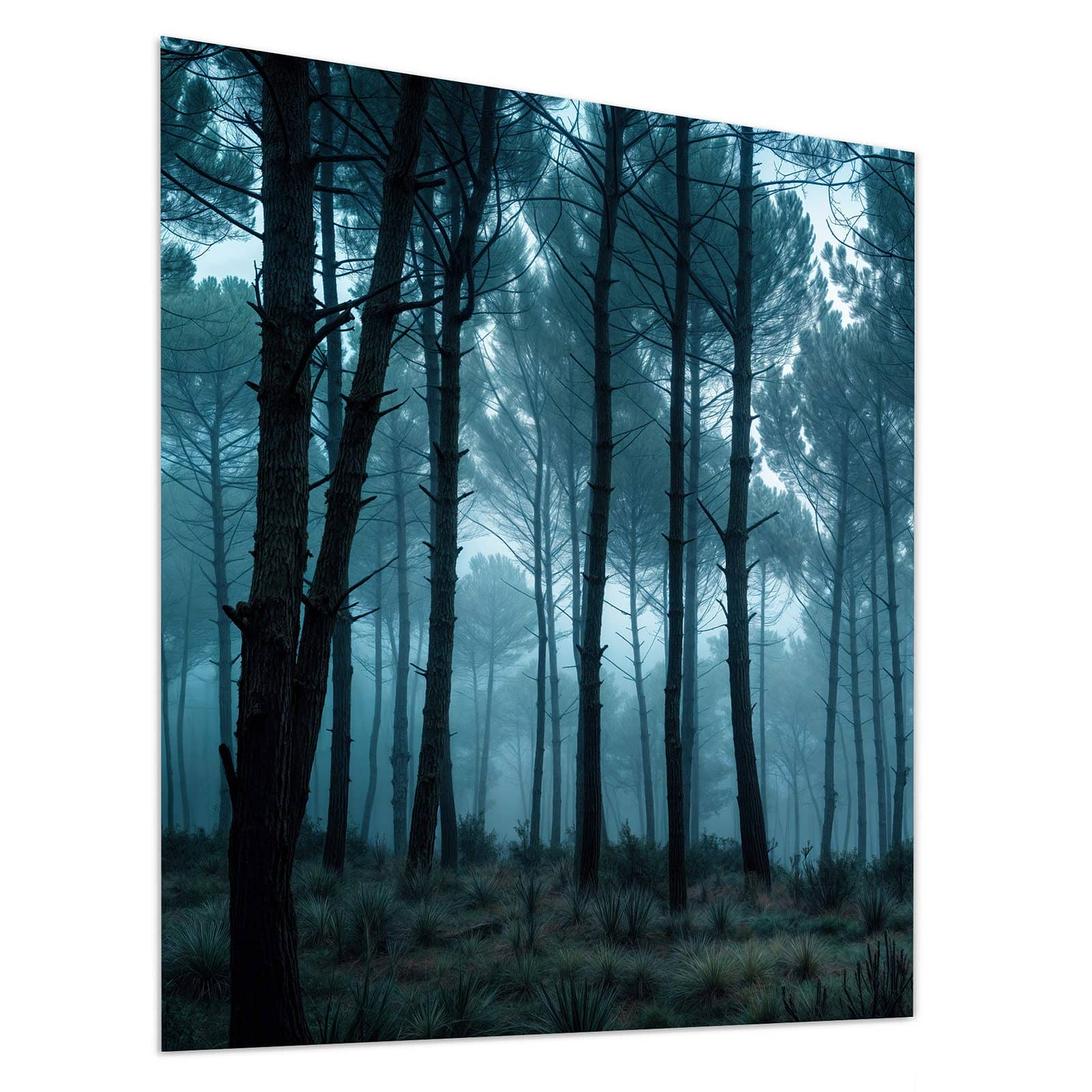 #grösse_90 x 100 cm