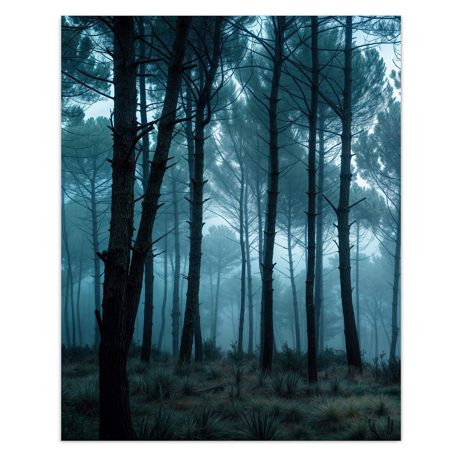 #grösse_60 x 75 cm #grösse_80 x 100 cm