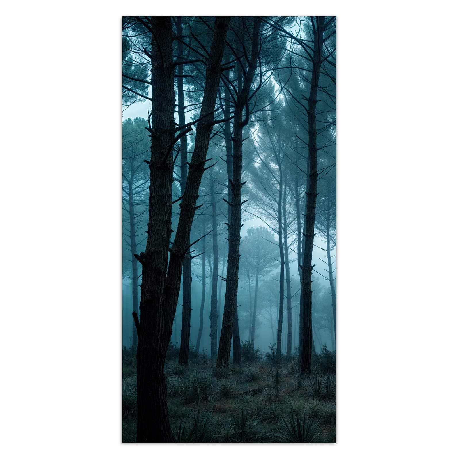 #grösse_30 x 60 cm #grösse_40 x 80 cm #grösse_50 x 100 cm #grösse_55 x 110 cm #grösse_60 x 120 cm