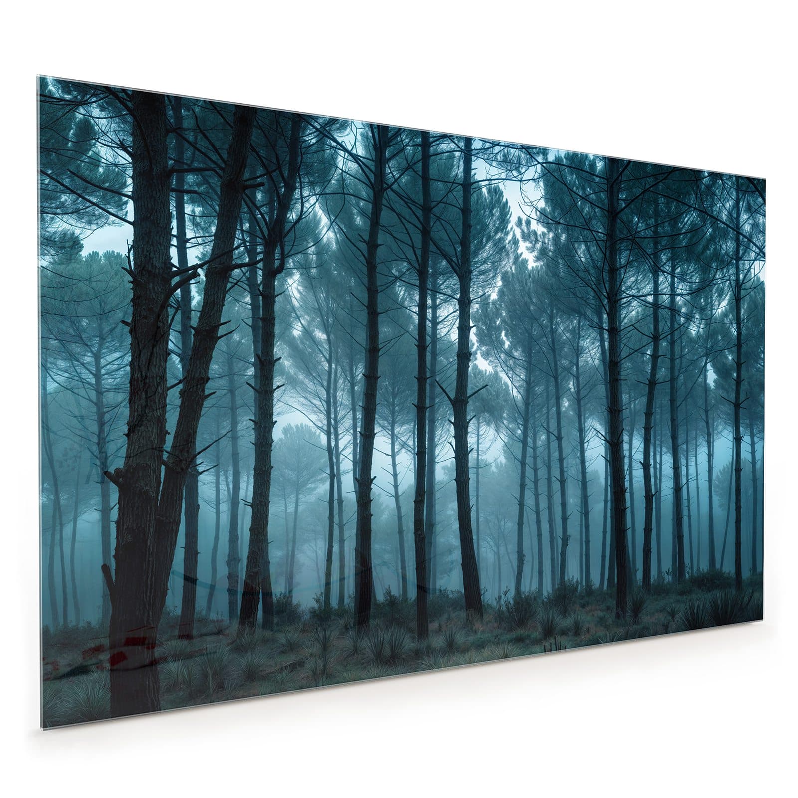 #80 x 120 cm_