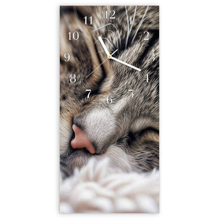 Wanduhr Schlafende Katze aus Glas – Hochformat 30 × 60 cm mit Ziffernblatt Klassisch