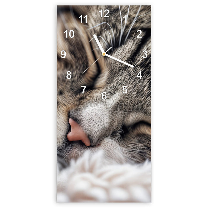 Wanduhr Schlafende Katze aus Glas – Hochformat 30 × 60 cm mit Ziffernblatt Modern