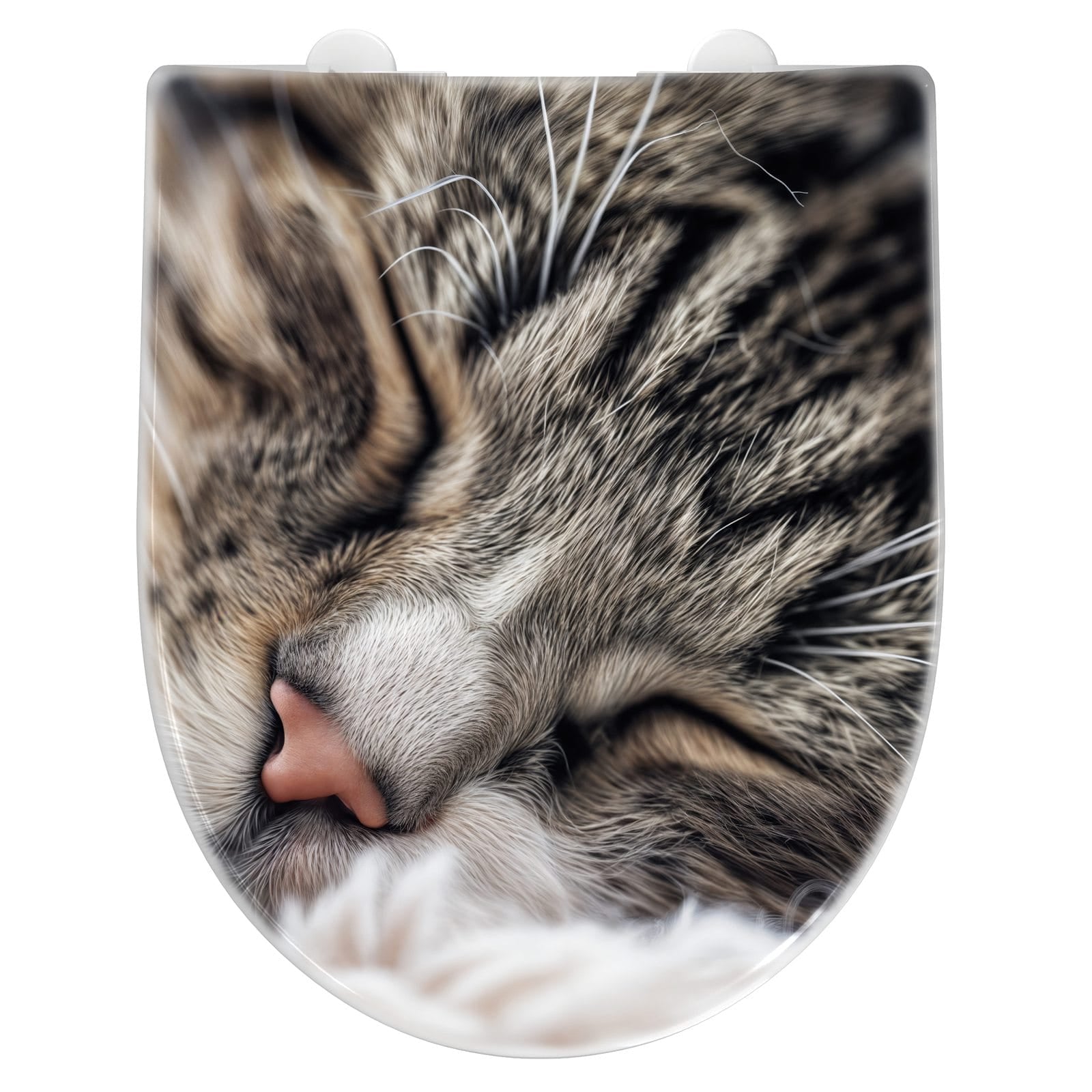 WC-Sitz mit Absenkautomatik Schlafende Katze
