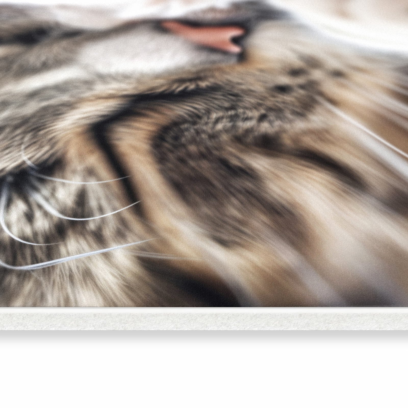 Formstabiler rutschfester Küchenläufer mit Motiv Schlafende Katze in seitlicher Ansicht