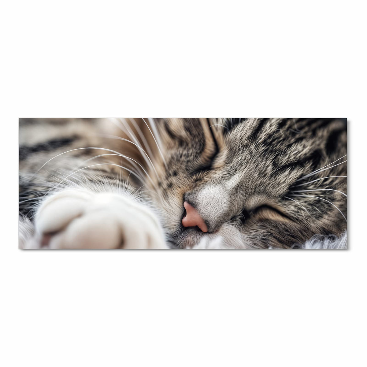 Getigerte Katze schläft mit geschlossenen Augen, Kopf auf weißer Decke