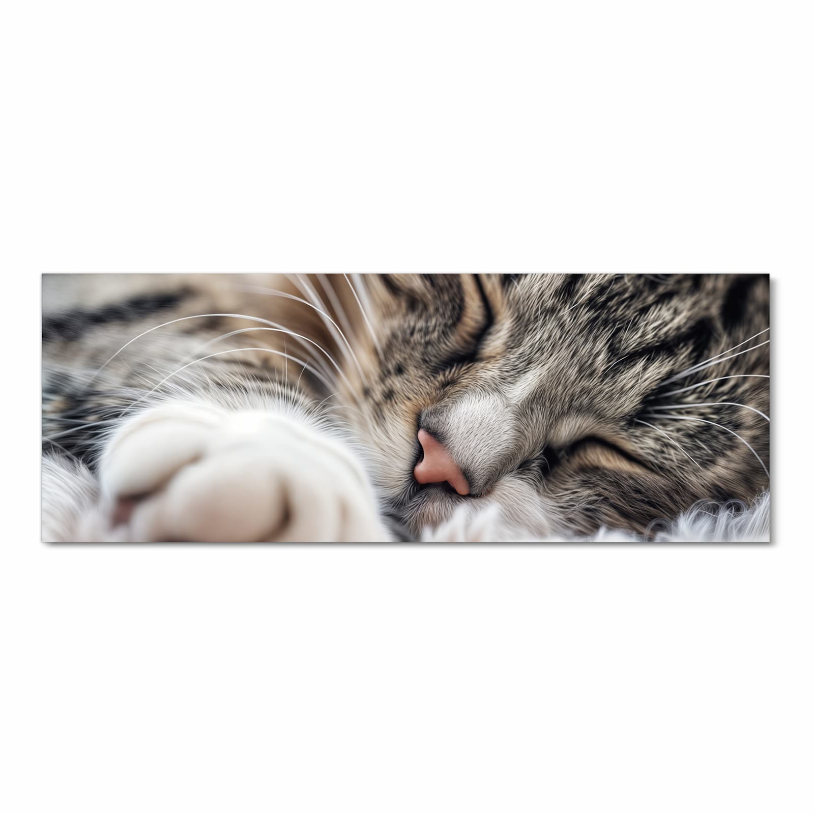 Schmutzabweisender Küchenvorleger mit Motiv Schlafende Katze in Frontansicht