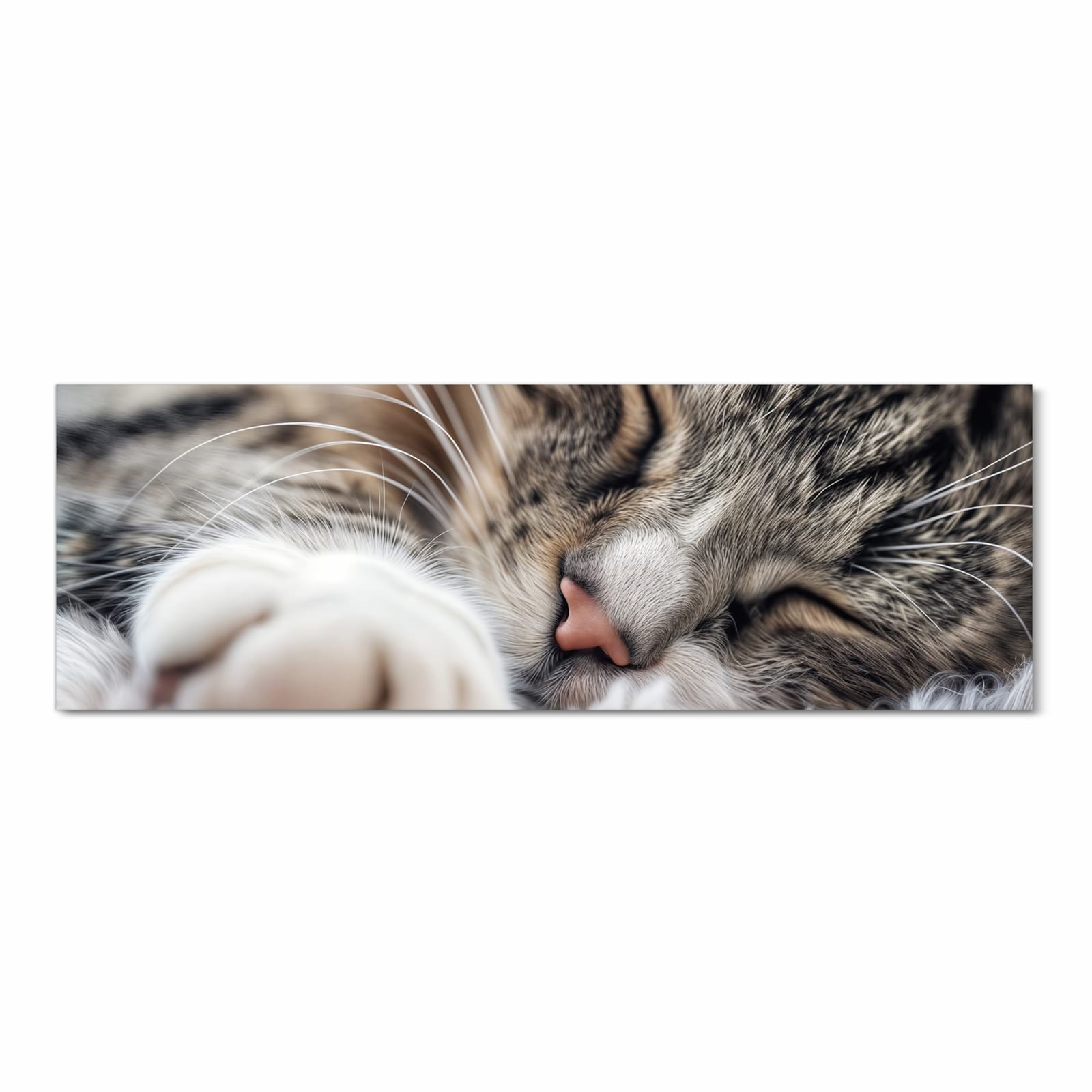 Küchenteppich mit Motiv Schlafende Katze in Frontansicht für sicheres Aufbewahren