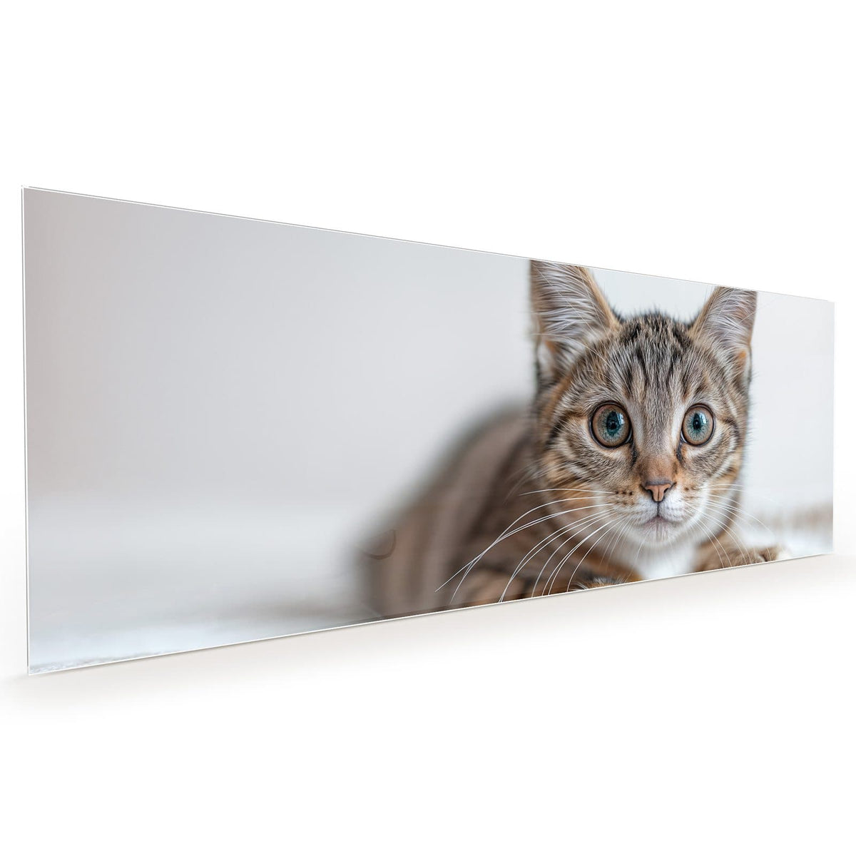 Küchenrückwand aus Glas im Hochformat mit Motiv Kätzchen auf Decke: Getigertes Kätzchen liegt auf weißer Kuscheldecke, große blaugrüne Augen