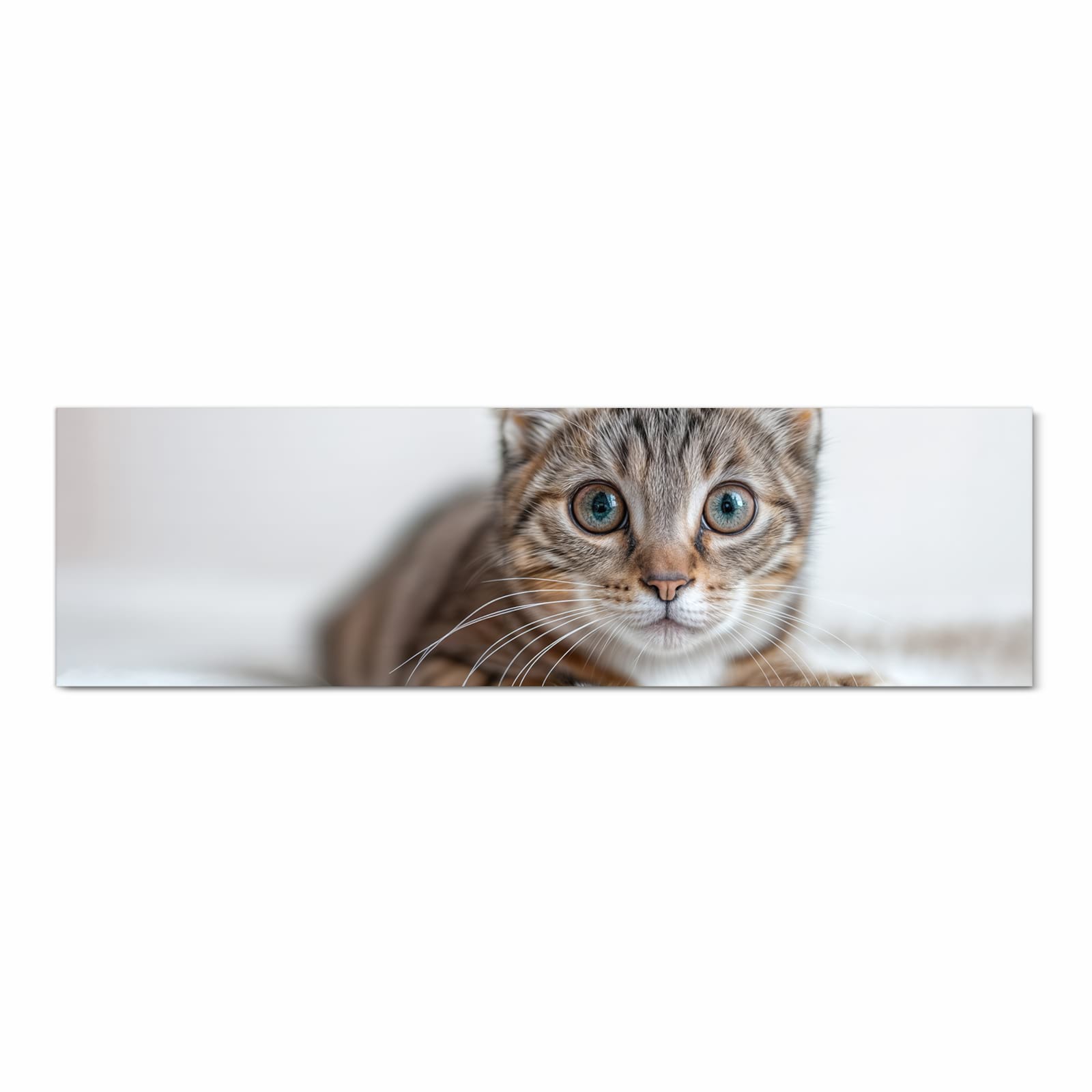 Bodenschonender Küchenteppich mit Motiv Süße Kleine Katze in Frontansicht