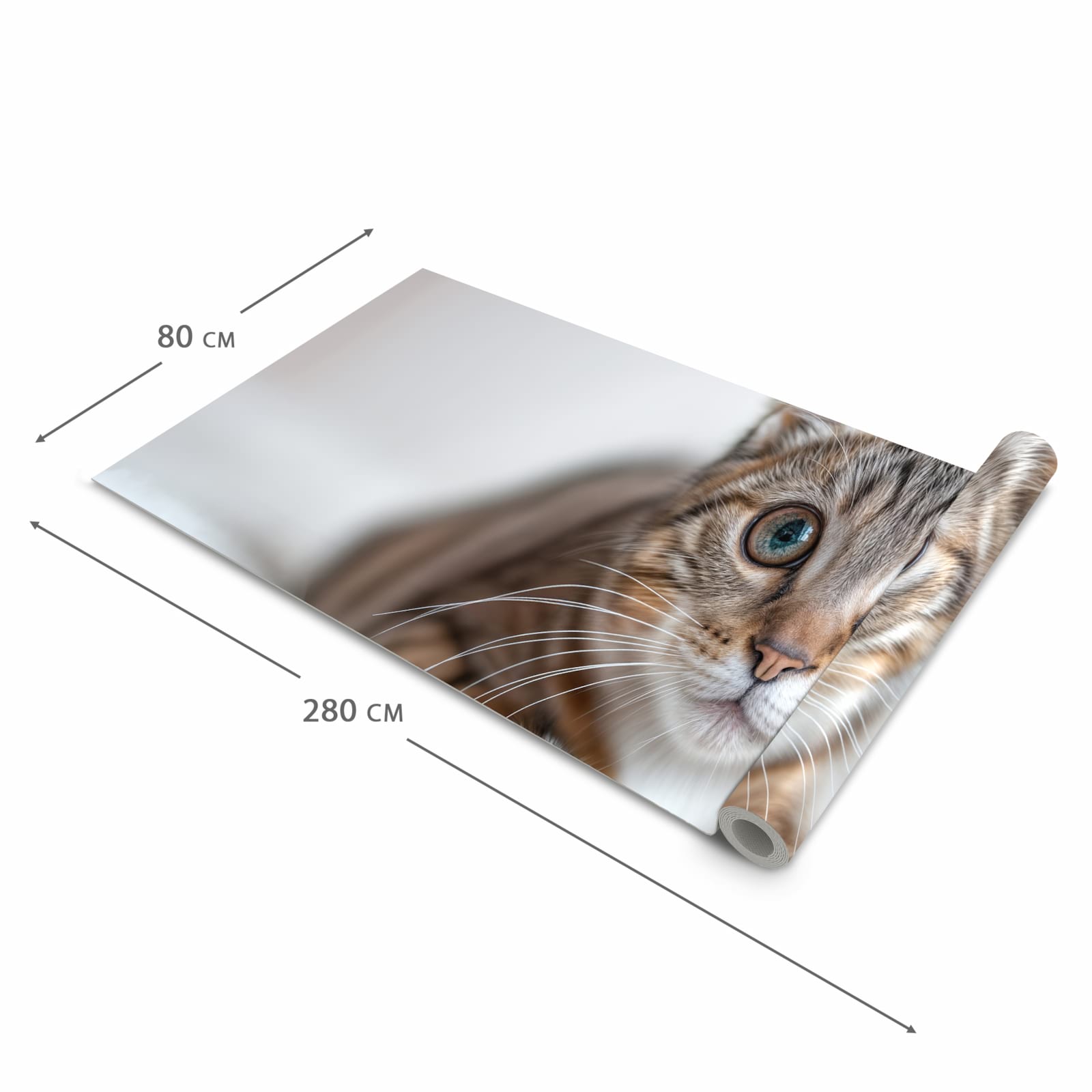 Rutschfester waschbarer Küchenteppich mit Motiv Süße Kleine Katze in der Grösse 80x300 cm