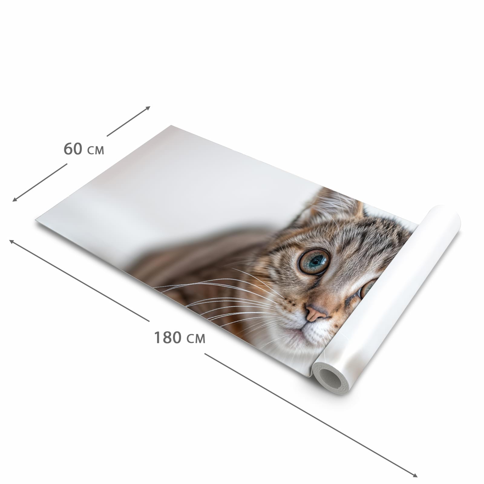 Rutschfester dünner Küchenteppich mit Motiv Süße Kleine Katze in der Größe 80x300 cm