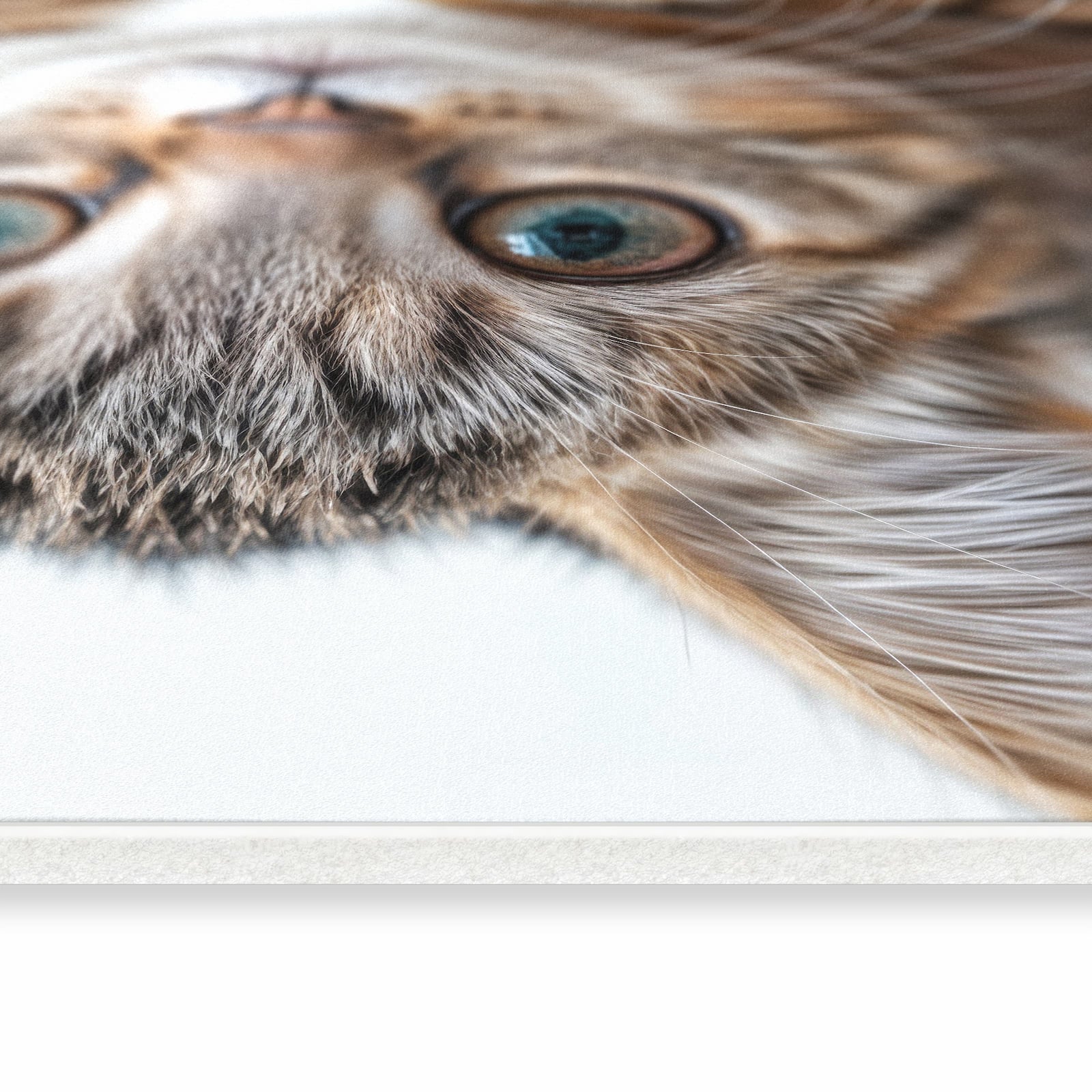 Farbbeständiger rutschfester Küchenläufer mit Motiv Süße Kleine Katze in seitlicher Ansicht