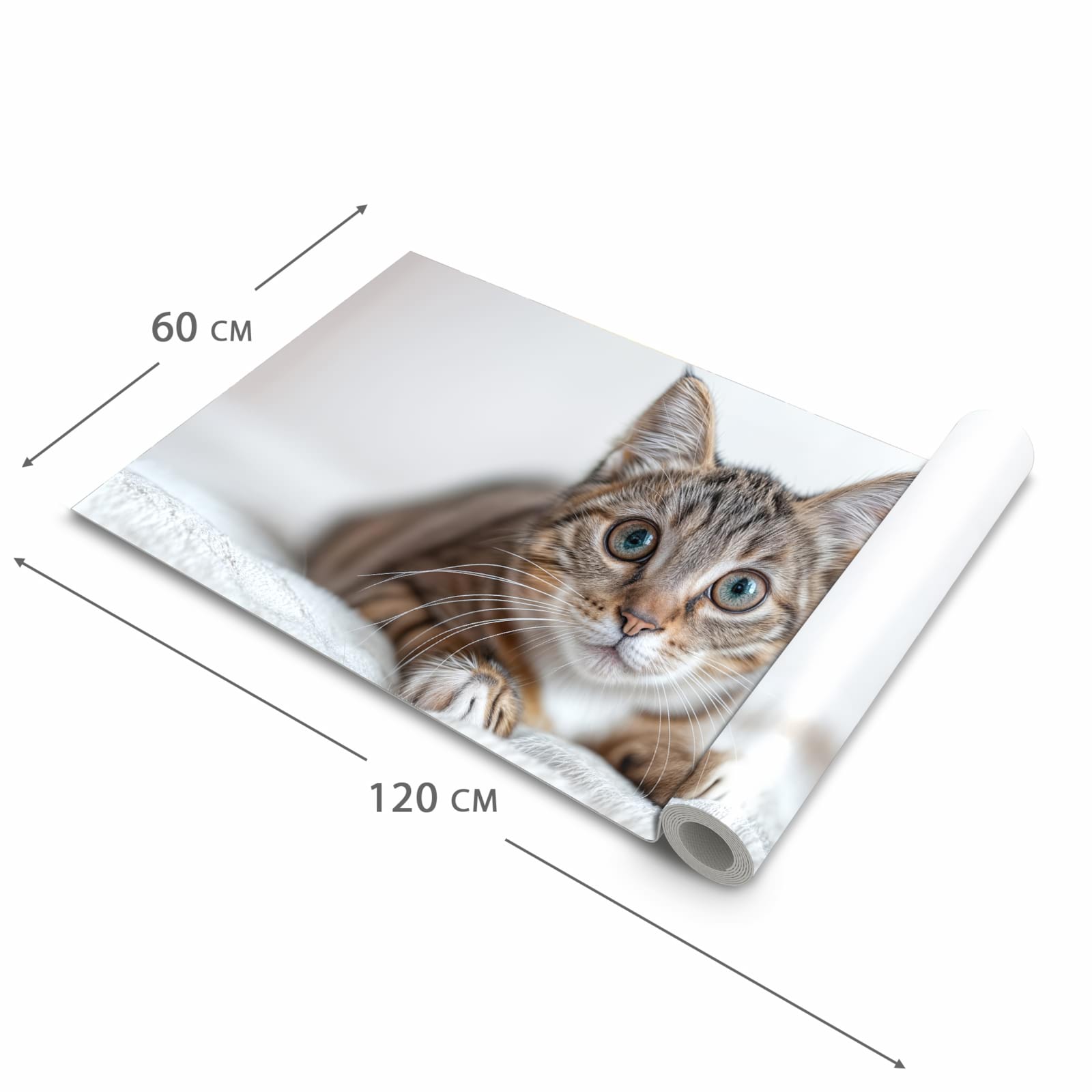Pflegeleichter dünner Küchenteppich mit Motiv Süße Kleine Katze in der Grösse 80x300 cm
