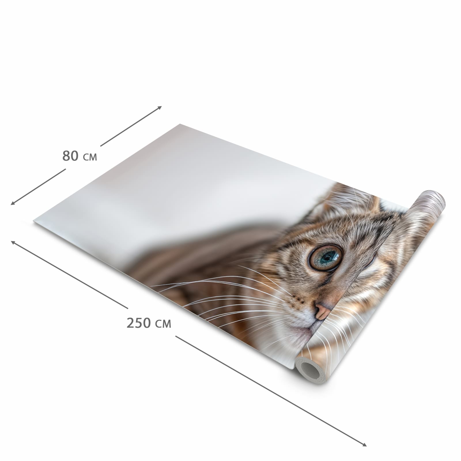 Langlebiger Küchenteppich mit Motiv Süße Kleine Katze in der Grösse 80x300 cm