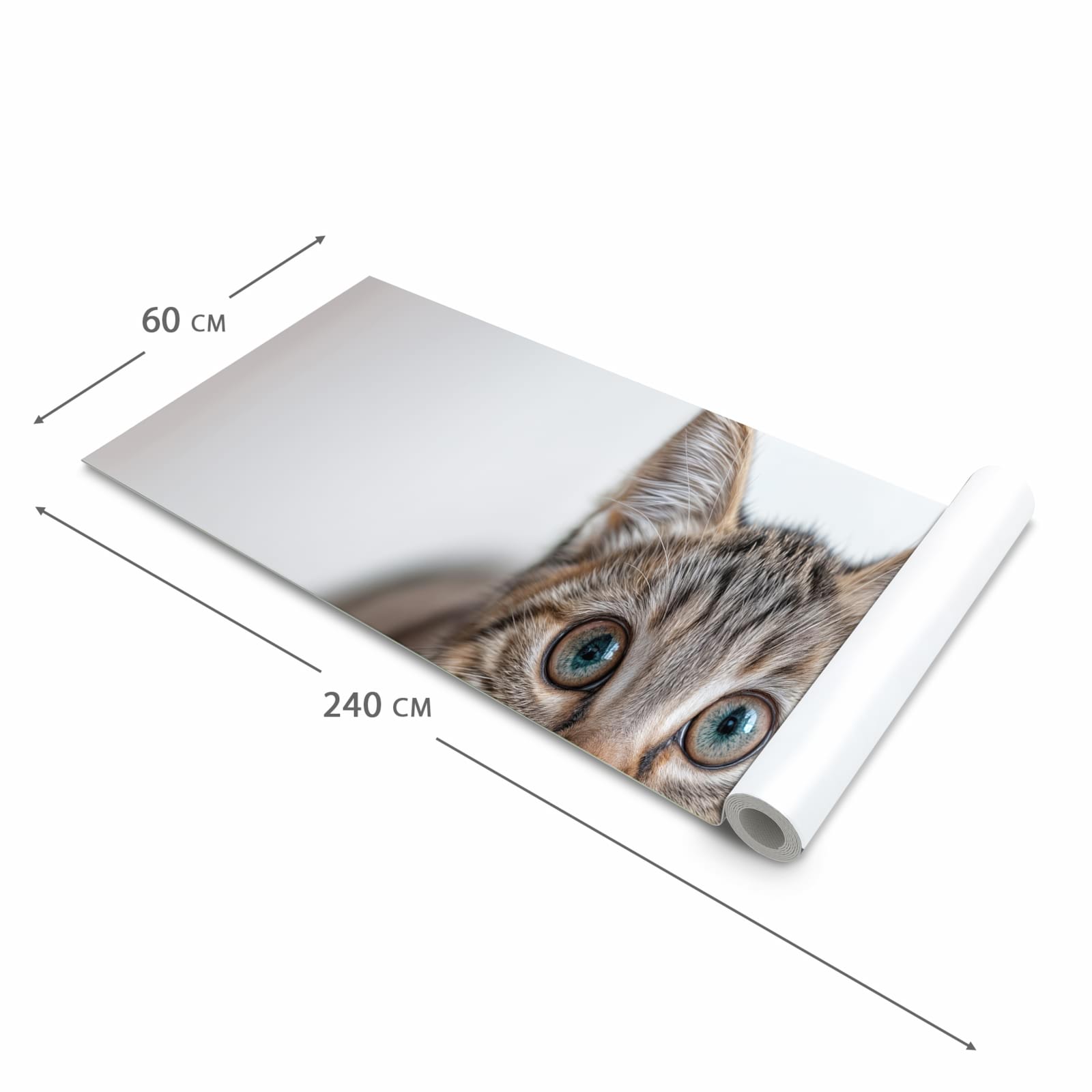 Waschbarer Teppich fürs Esszimmer mit Motiv Süße Kleine Katze in der Größe 80x300 cm