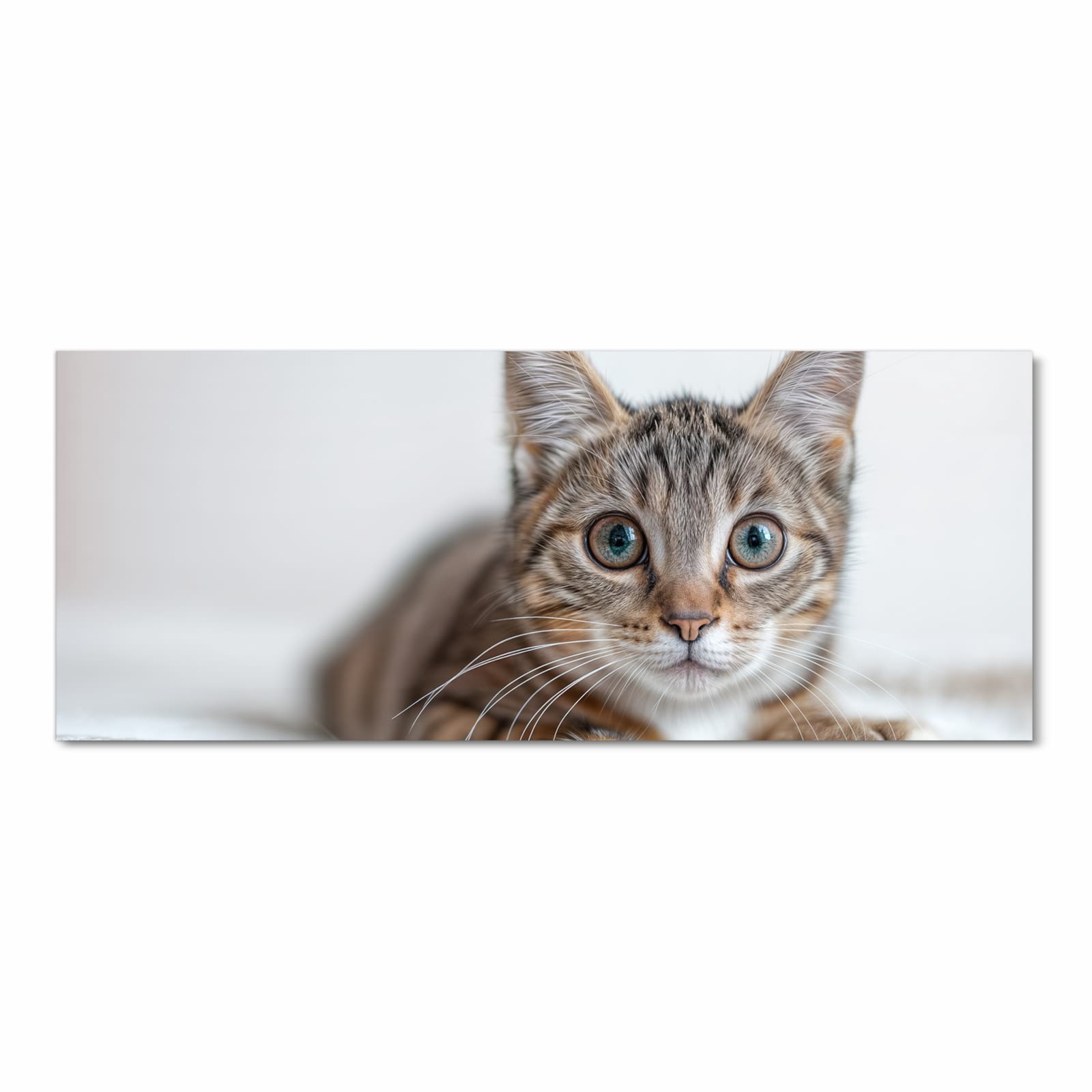 Waschbarer Küchenläufer mit Motiv Süße Kleine Katze in Frontansicht für angenehme Haptik