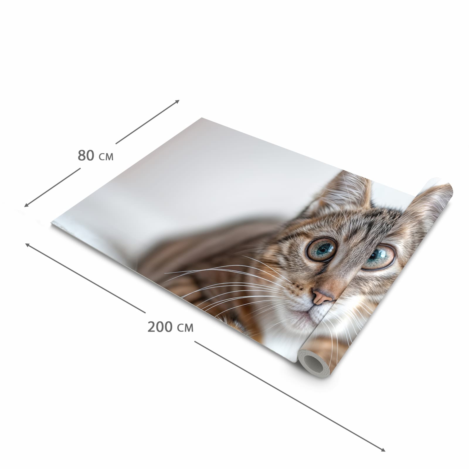 Waschbarer Bodenläufer Teppich mit Motiv Süße Kleine Katze in der Grösse 80x300 cm