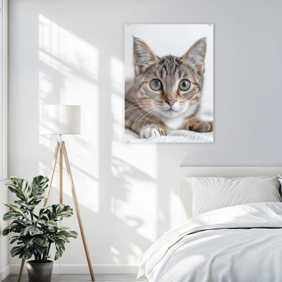 Maße Wandbild - Kätzchen auf Decke - Hochformat