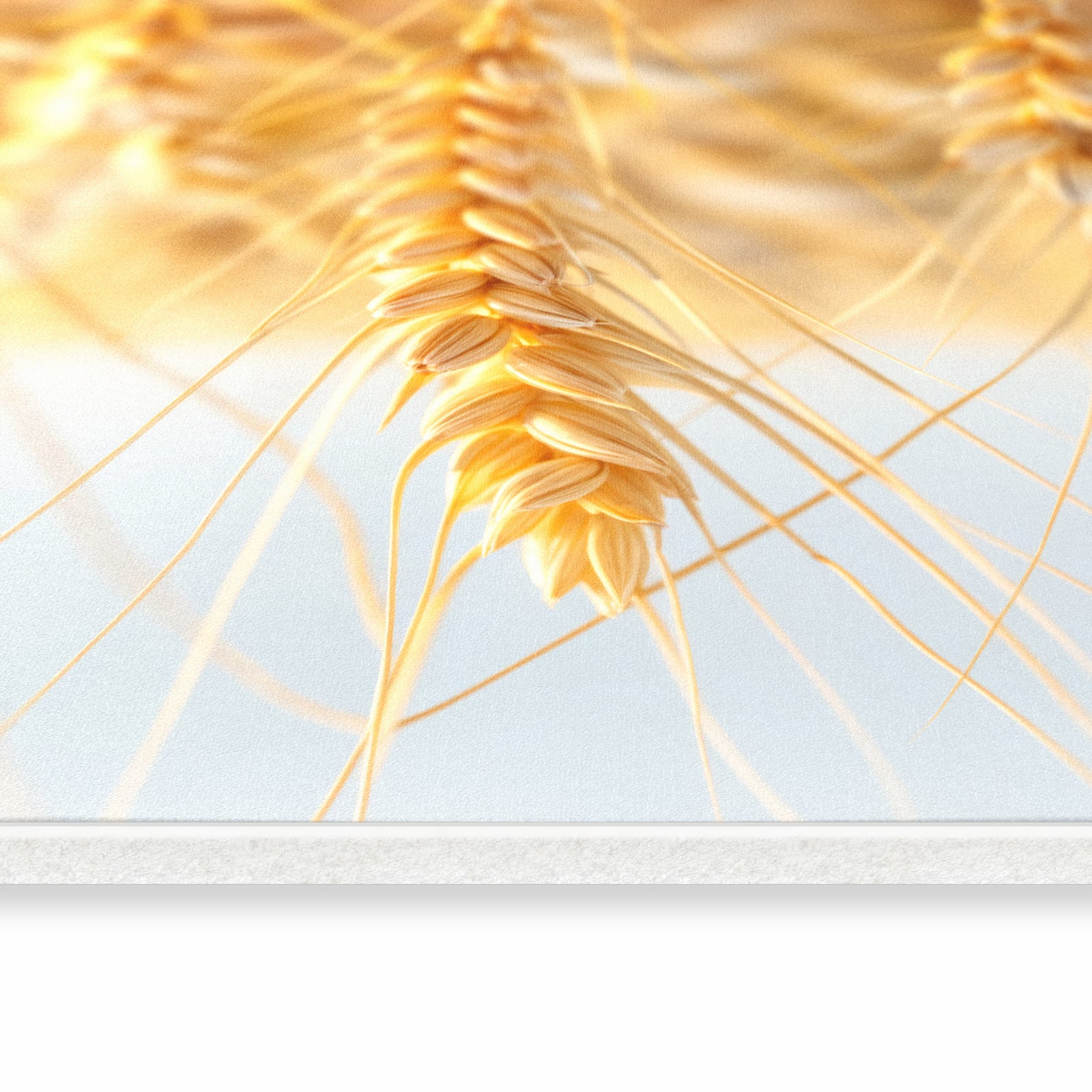 Bodenschonender rutschfester Küchenläufer mit Motiv Weizenfeld in seitlicher Ansicht