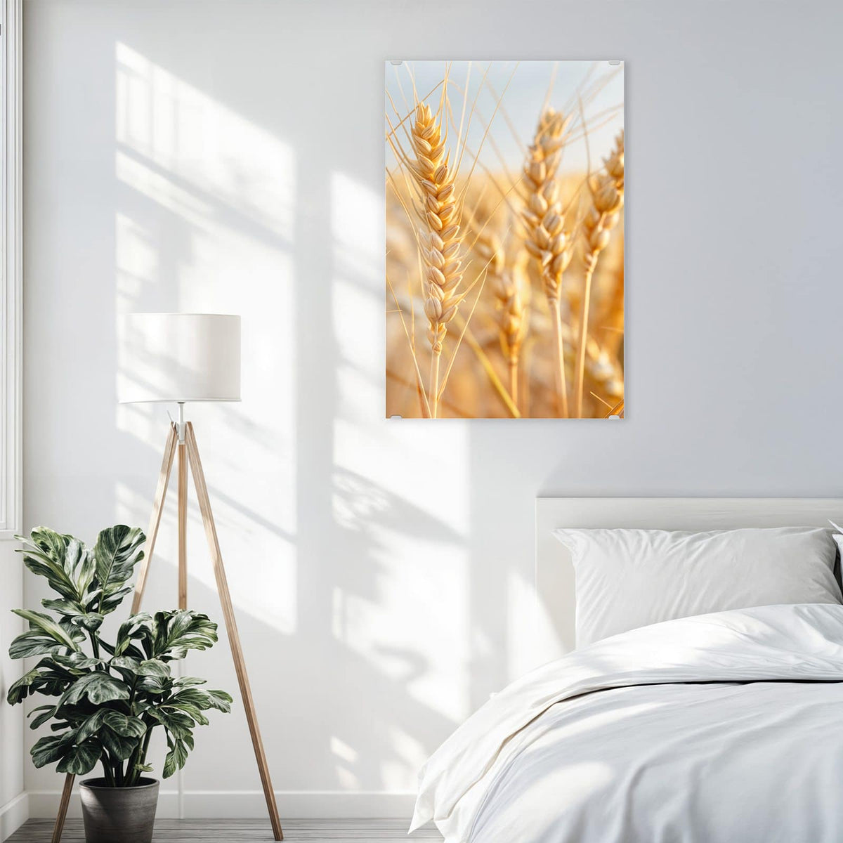 Glasbild Weizenähren am Himmel an der Wand – Goldene Weizenähren in Nahaufnahme vor hellem Himmel