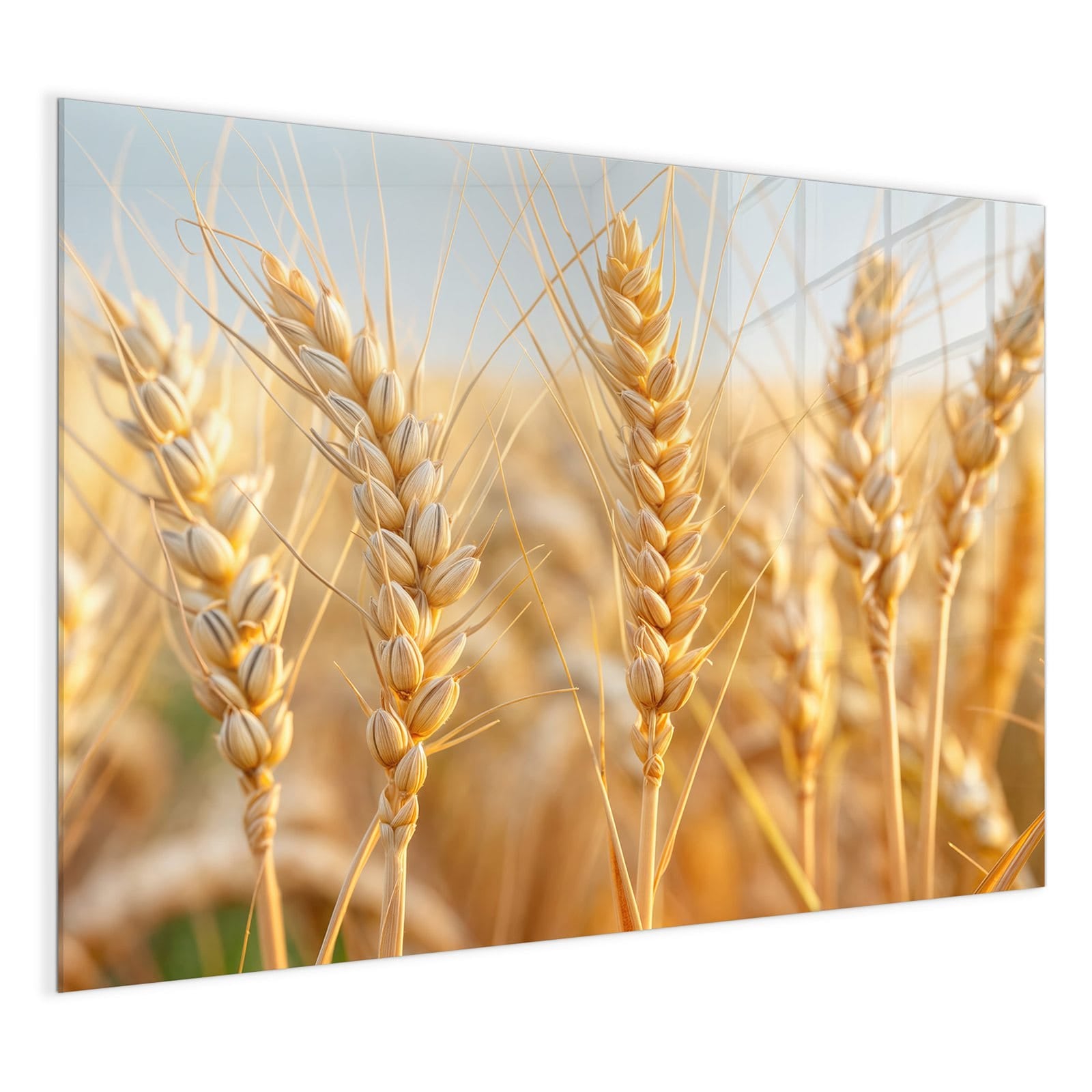 #grösse_120 x 90 cm