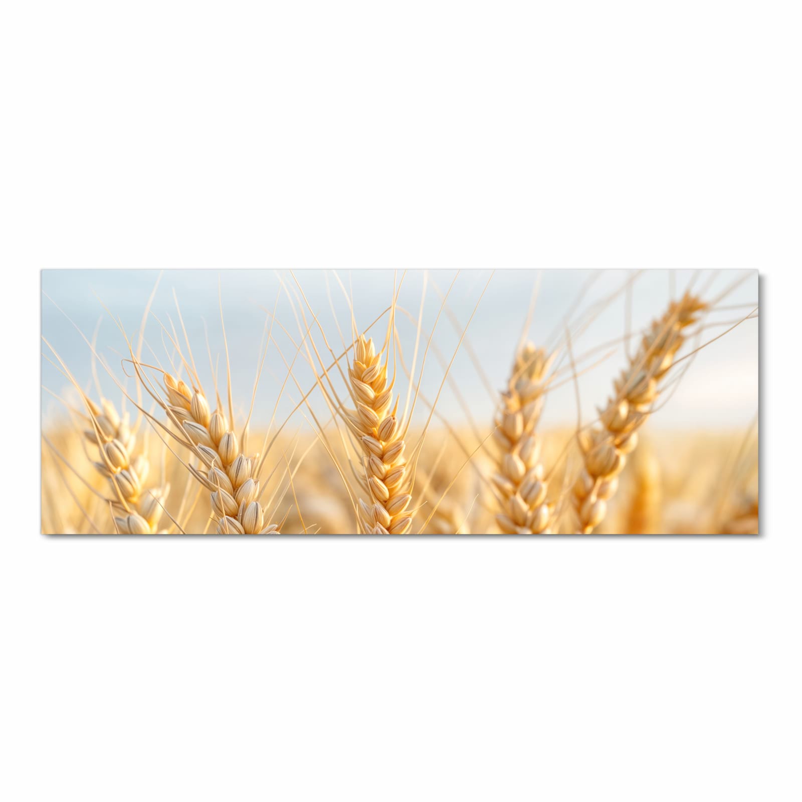 Rutschfester Küchenläufer mit Motiv Weizenfeld in Frontansicht für sicheren Stand