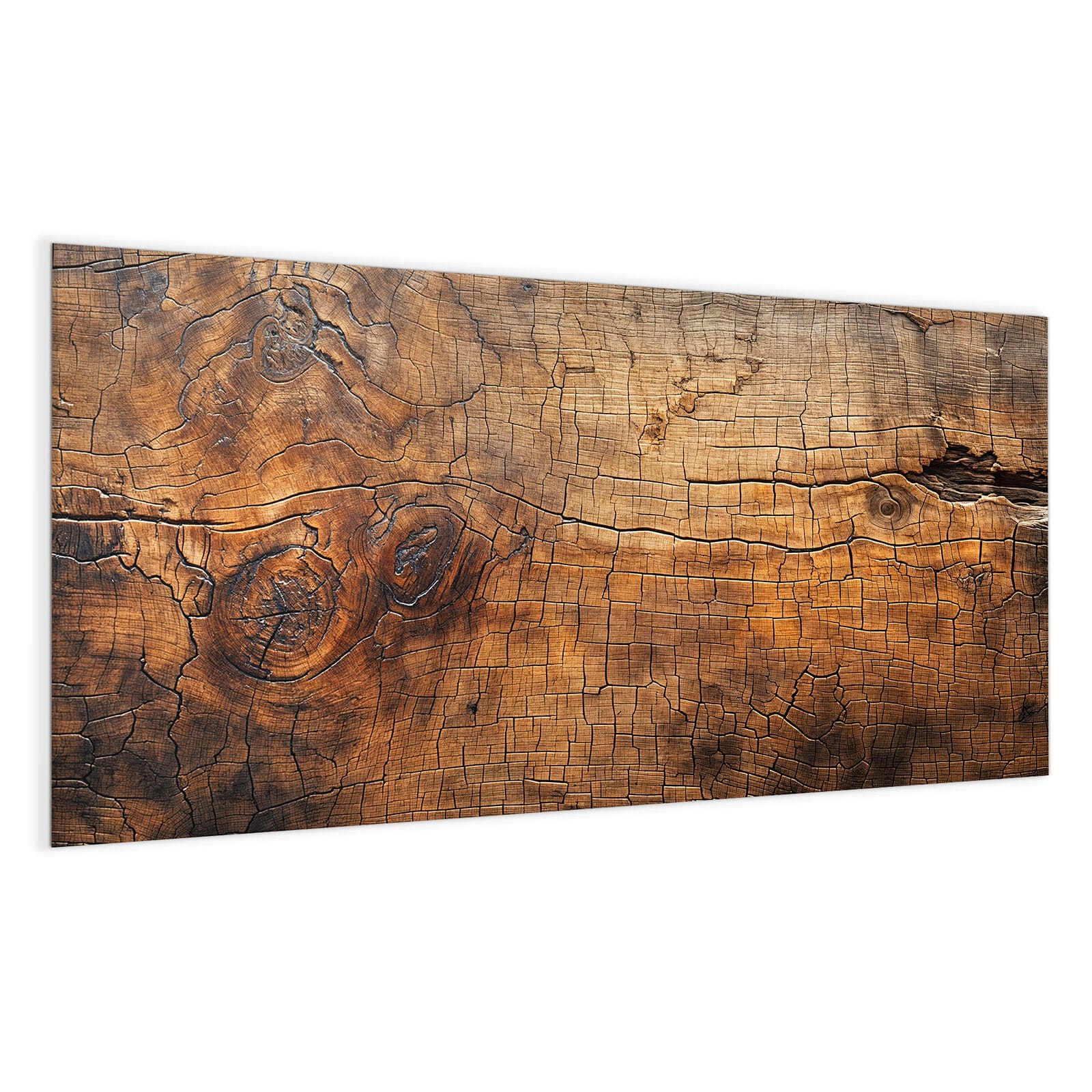 #grösse_100 x 50 cm