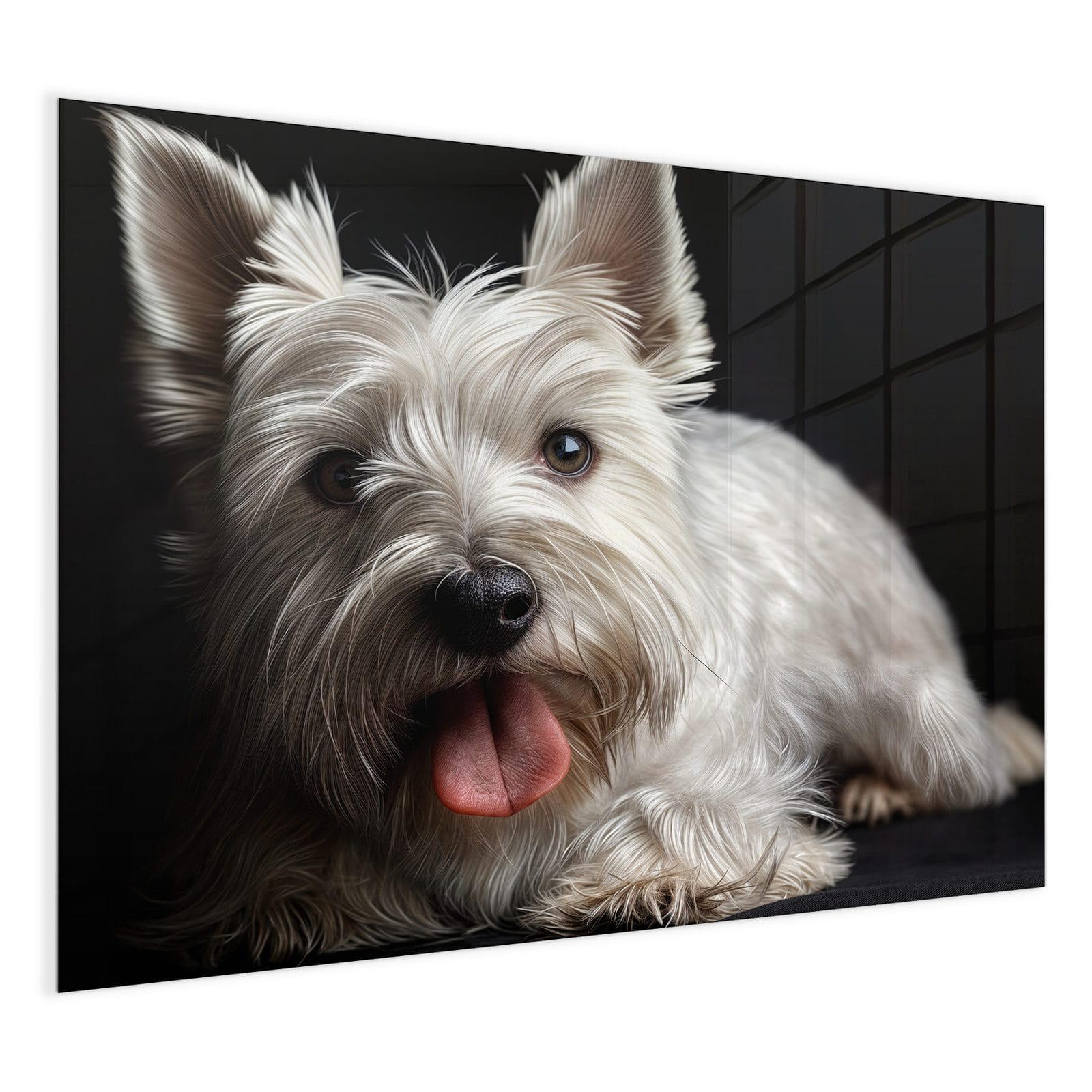 #grösse_120 x 90 cm