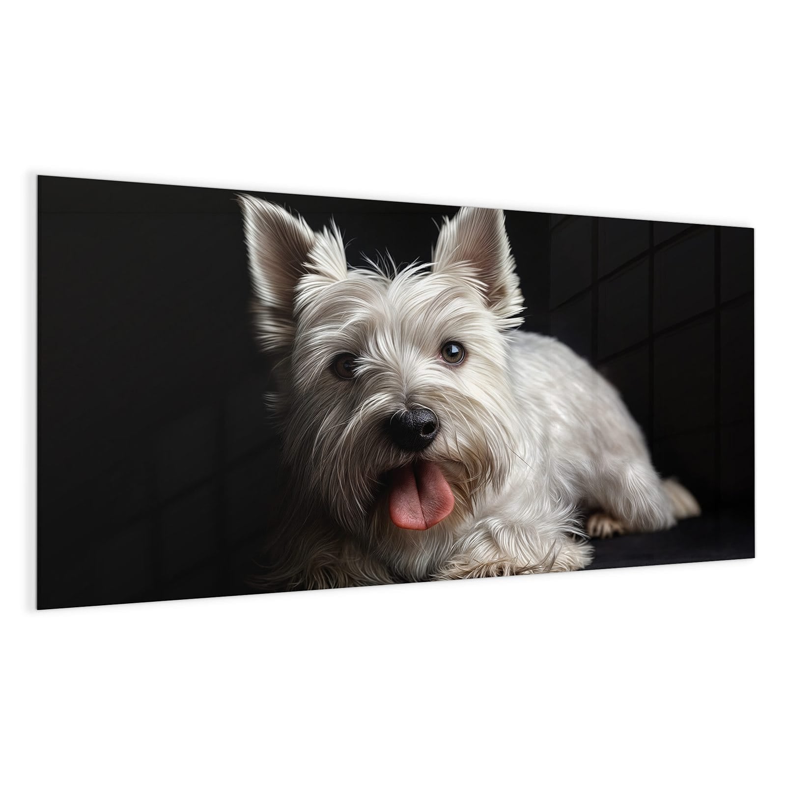 #grösse_100 x 50 cm