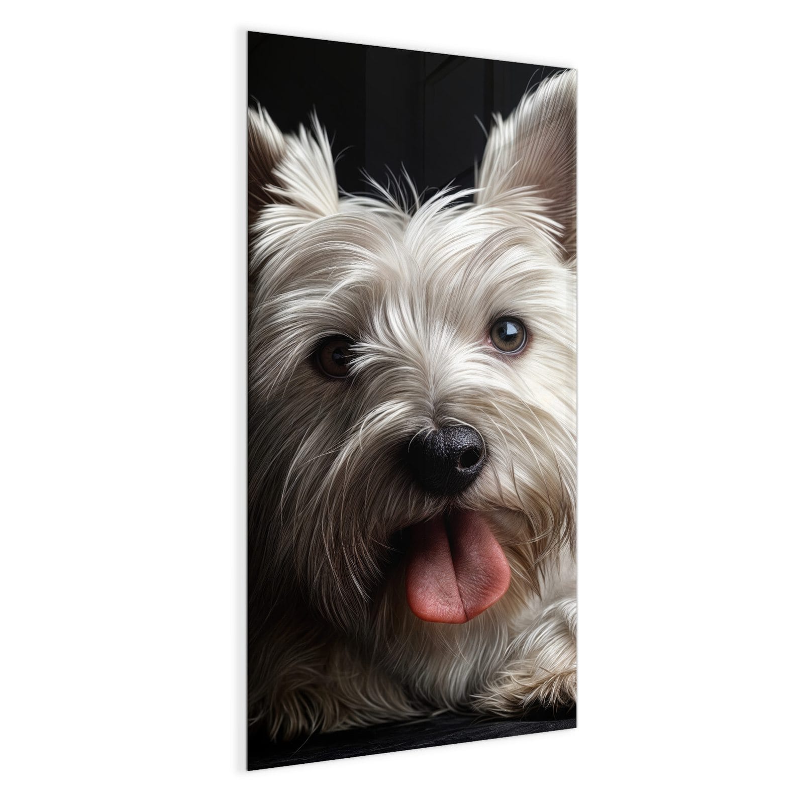 #grösse_50 x 100 cm