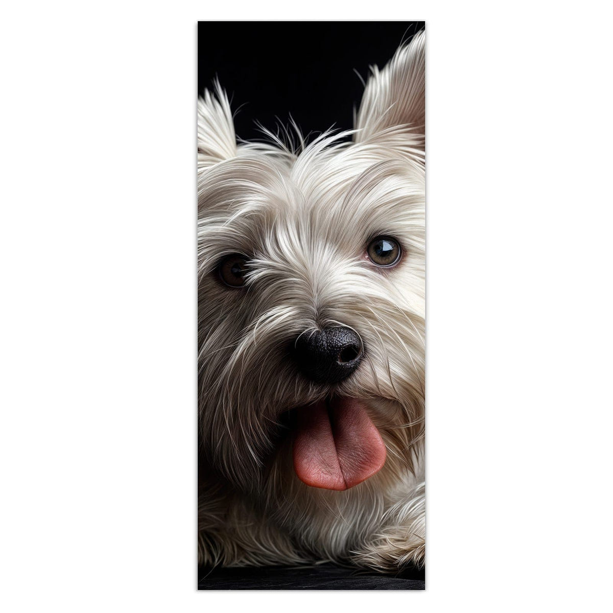 Wandbild - Weißer Terrier - Hochformat – Flauschiger weißer Hund vor Schwarz