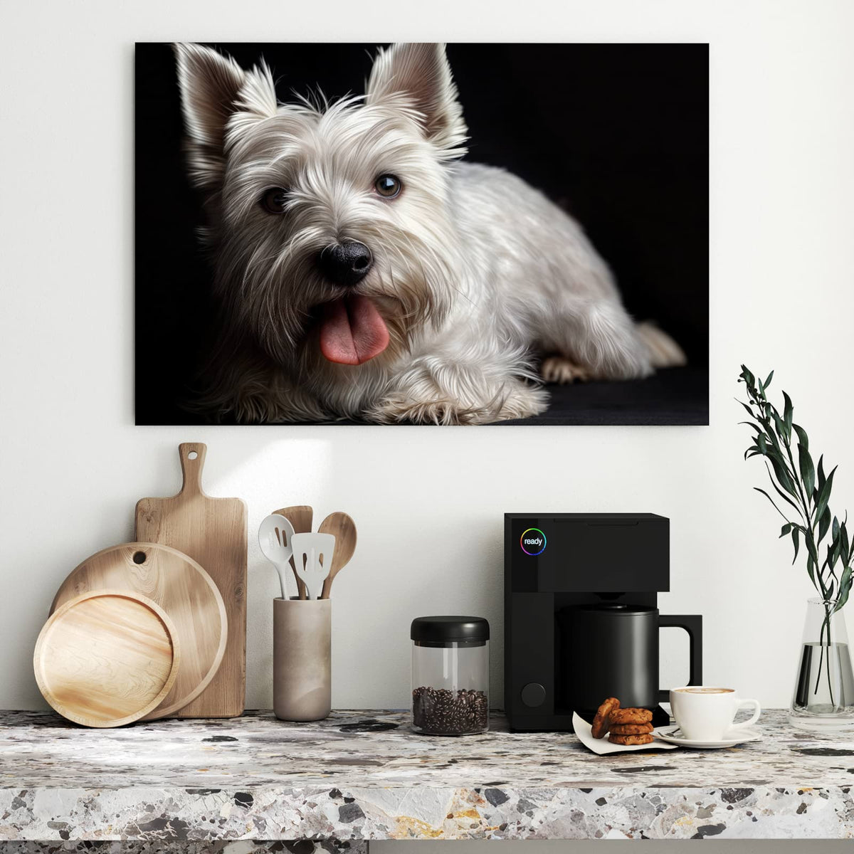 Weißer West-Highland-Terrier mit herausgestreckter Zunge vor schwarzem Hintergrund
