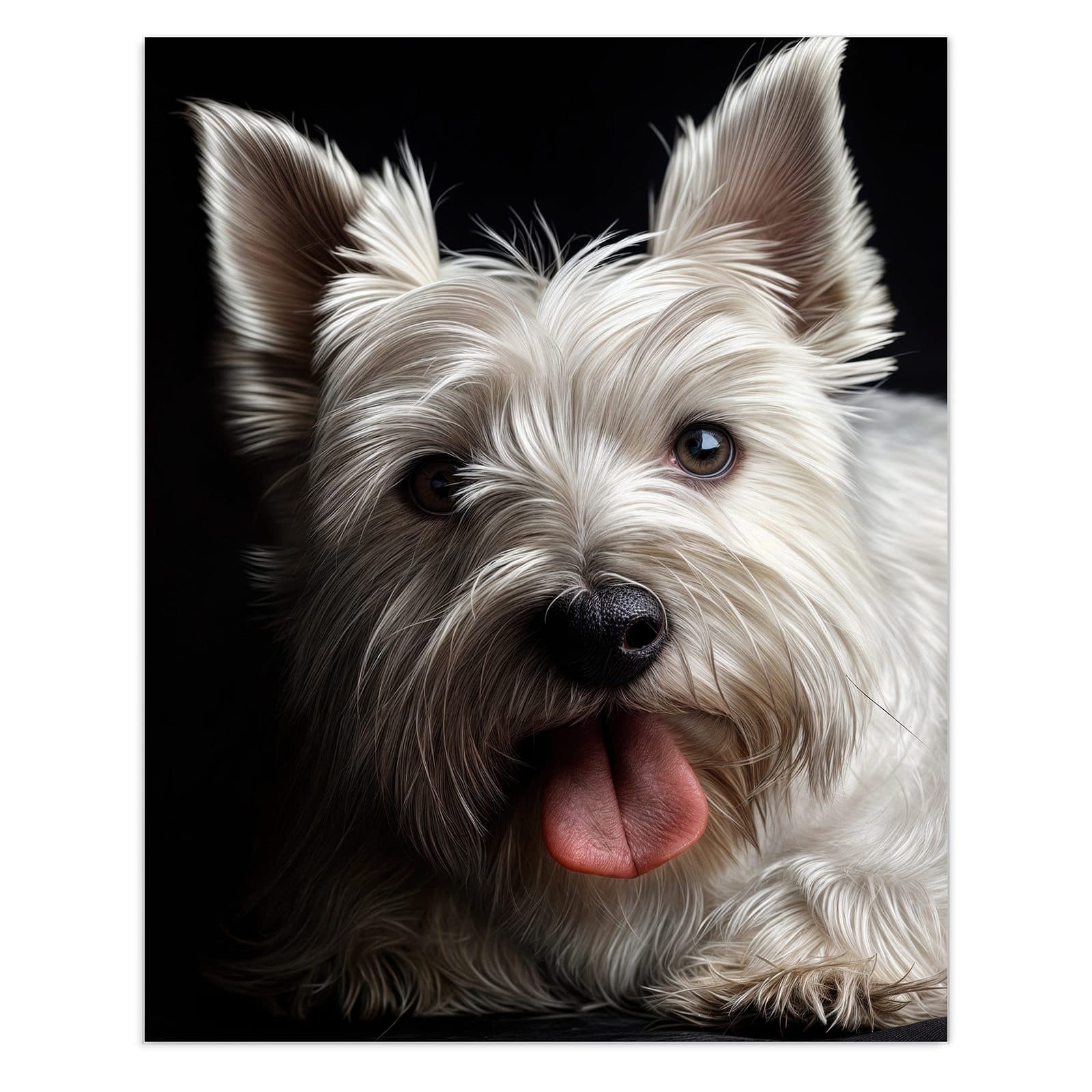 #grösse_60 x 75 cm #grösse_80 x 100 cm