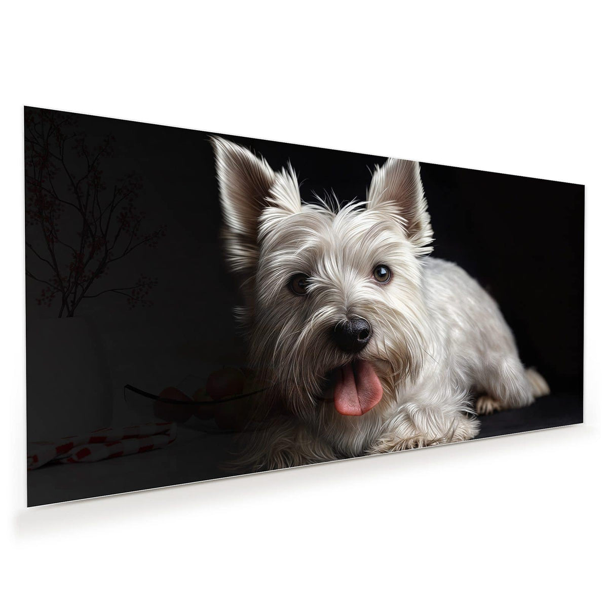 Weißer West-Highland-Terrier mit herausgestreckter Zunge vor schwarzem Hintergrund