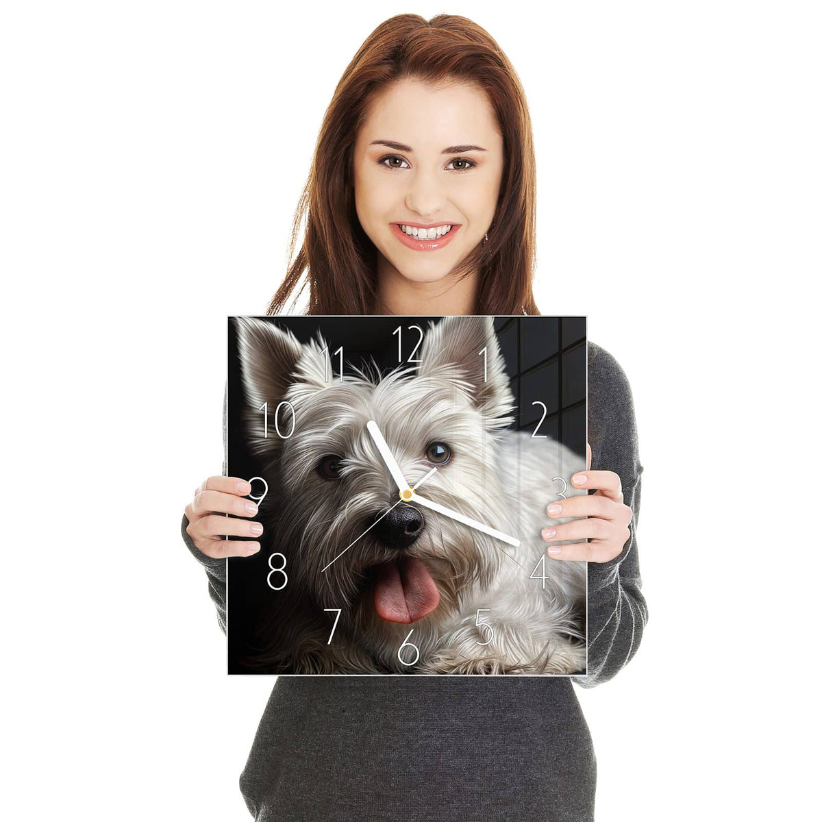 Weißer West-Highland-Terrier mit herausgestreckter Zunge vor schwarzem Hintergrund