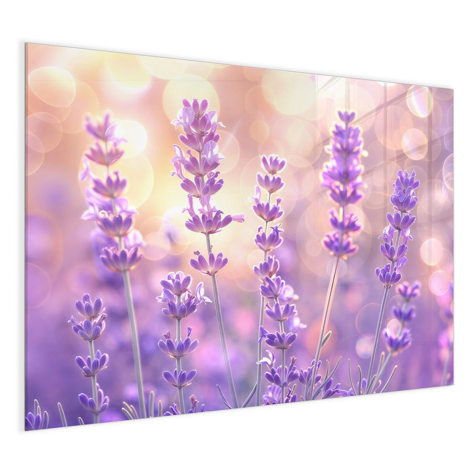 #grösse_120 x 90 cm