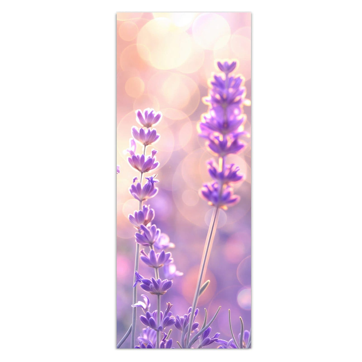Wandbild - Lavendel im Gegenlicht - Hochformat – Lavendelblüten vor warmem Bokeh
