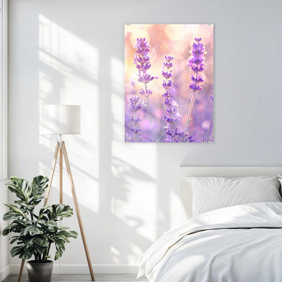 Maße Wandbild - Lavendel im Gegenlicht - Hochformat