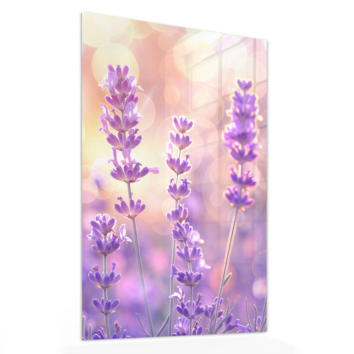 11 Größen – von 30 × 60 bis 60 × 150 cm – Wandbild - Lavendel im Gegenlicht - Hochformat